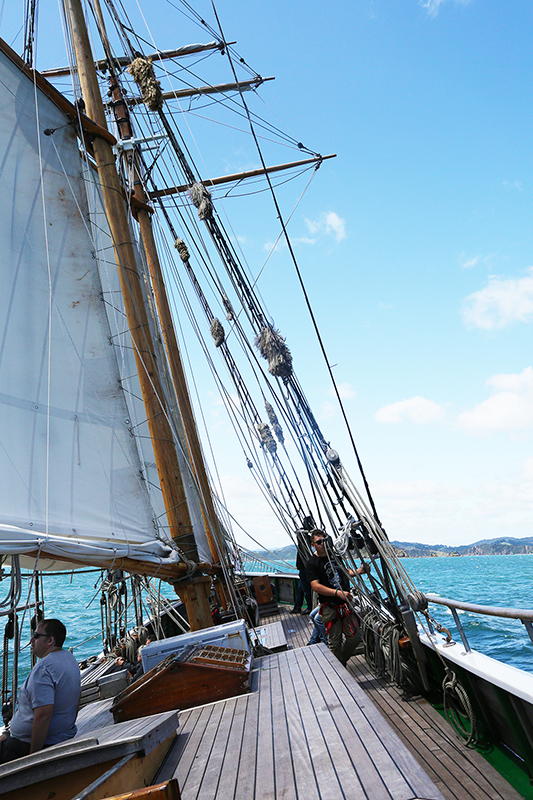 Sail on the R Tucker Thompson, Bay of Islands, NZ